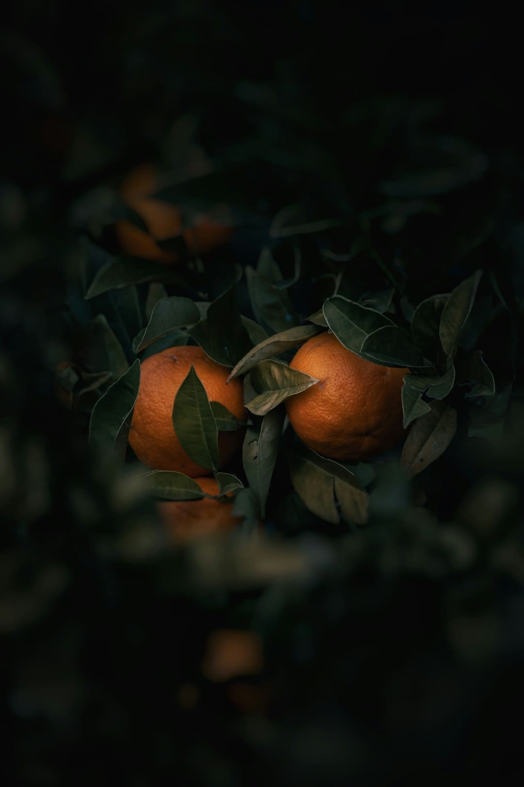 http://news.yule.com.cn/uploadfile/2024/1121/20241121111627741.png